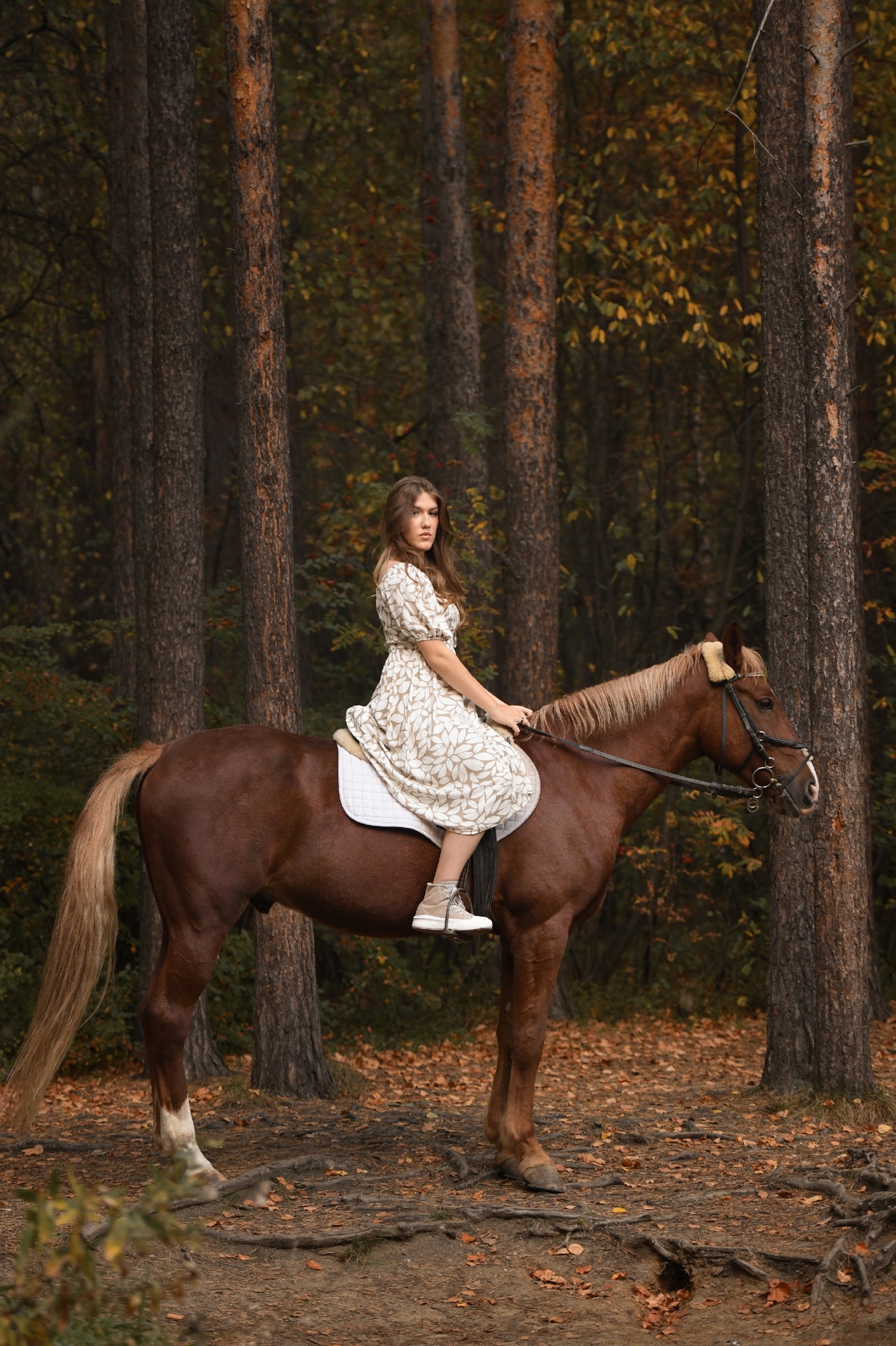 Фотосессия с лошадью